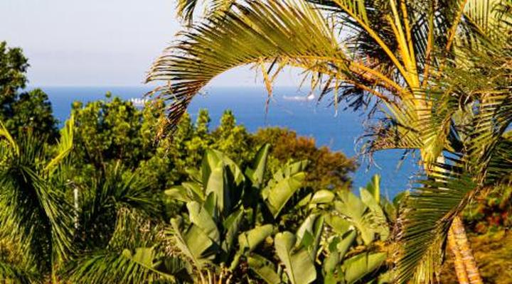 La Loggia Bed and Breakfast