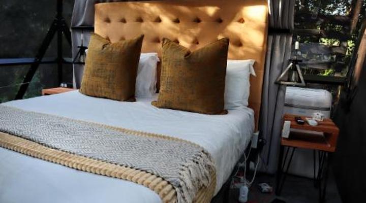 Misty Mountain Reserve