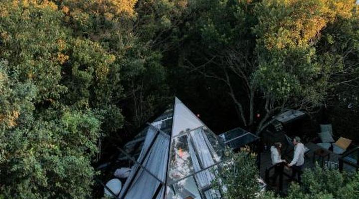 Misty Mountain Reserve