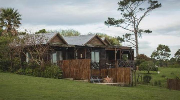 Misty Mountain Reserve