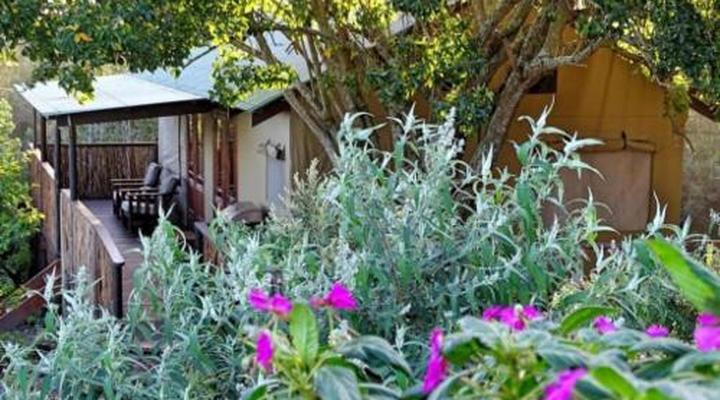 Misty Mountain Reserve