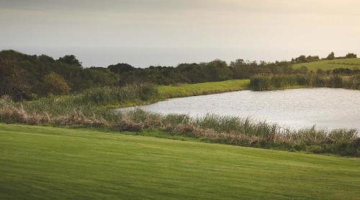 Misty Mountain Reserve