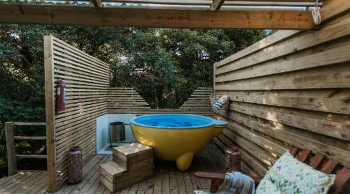 Misty Mountain Reserve