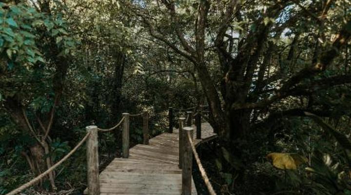 Misty Mountain Reserve