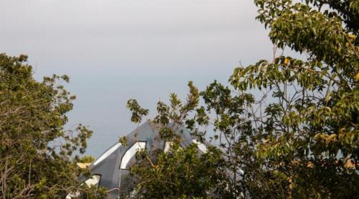 Misty Mountain Reserve