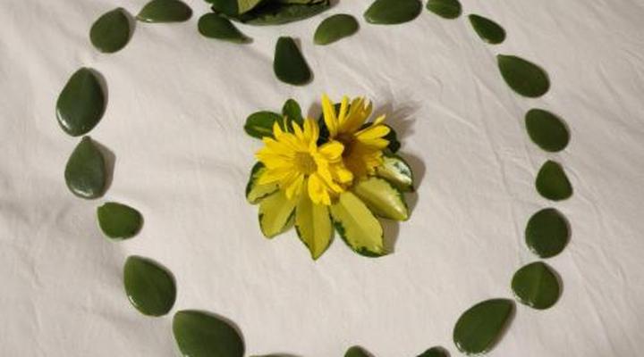 Plumbago Guest House