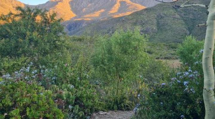 The Retreat at Groenfontein