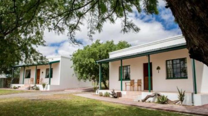 Olive Grove Guest Farm