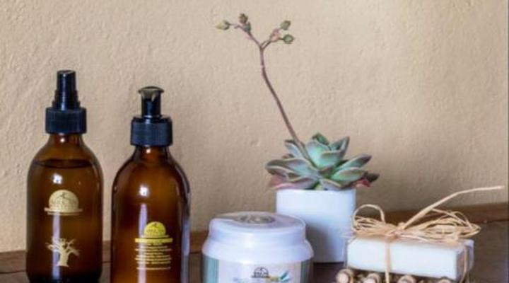 Olive Grove Guest Farm