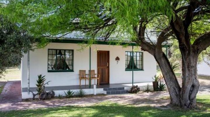 Olive Grove Guest Farm