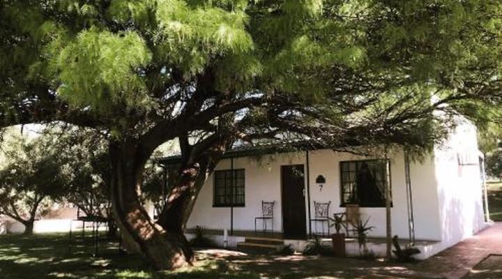 Olive Grove Guest Farm