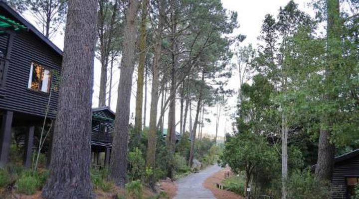 Highlands Lodge Mountain Retreat