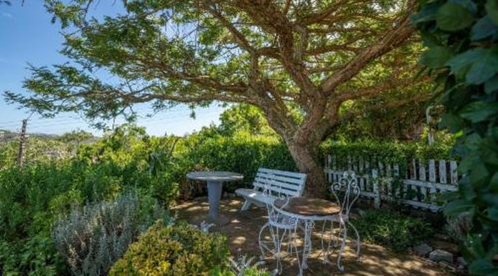 The Lookout Guest House