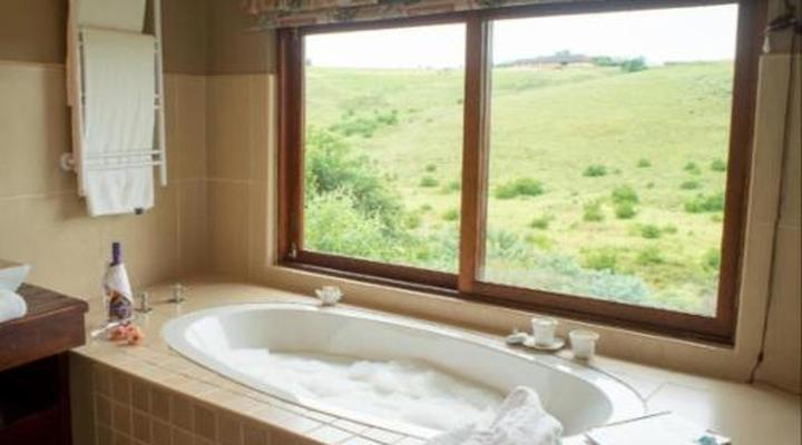 Granny Mouse Country House