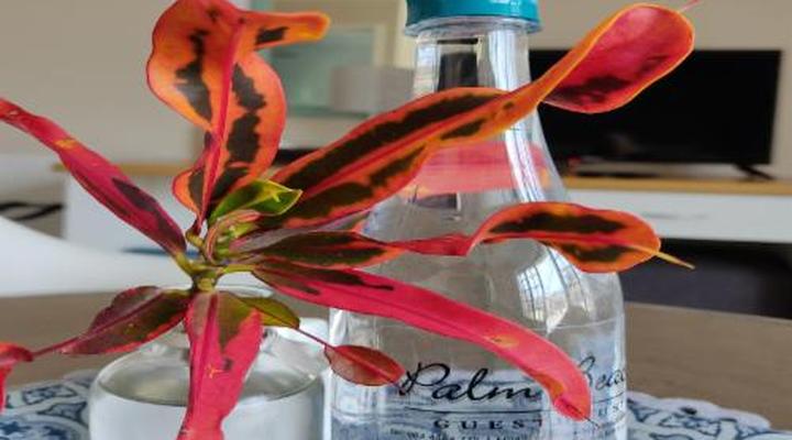 Palm Beach Guesthouse