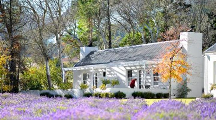 Lavender Farm Guest House