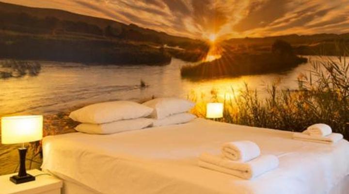 Daddy Long Legs Art Hotel