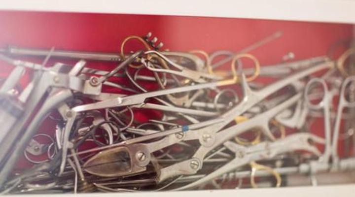 Daddy Long Legs Art Hotel