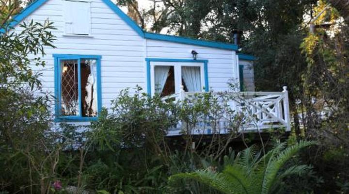 Knysna Yellowwood Lodge