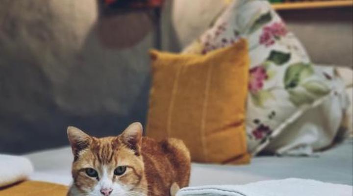 WintertonCountryLodge