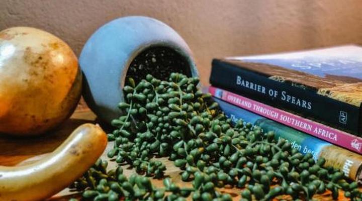 WintertonCountryLodge