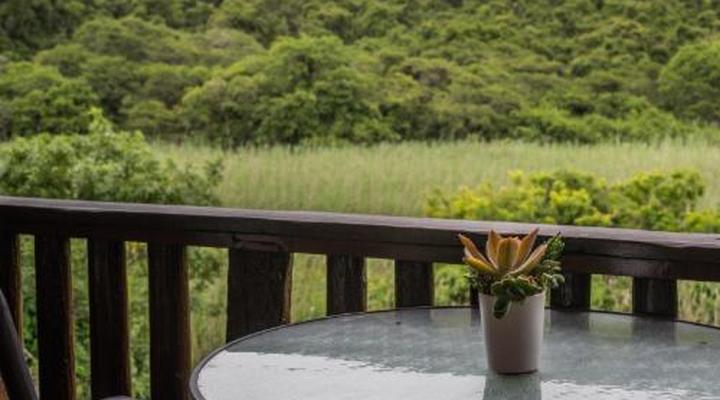 Thunzi Bush Lodge
