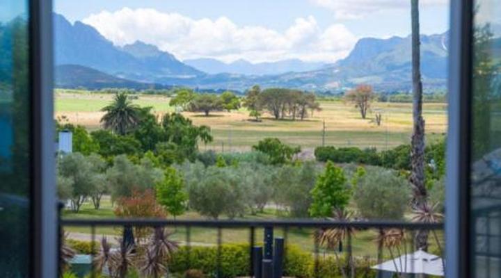 The Wild Mushroom Boutique Hotel