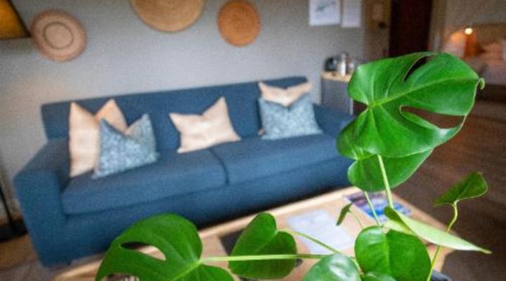 Elephant Plains Game Lodge