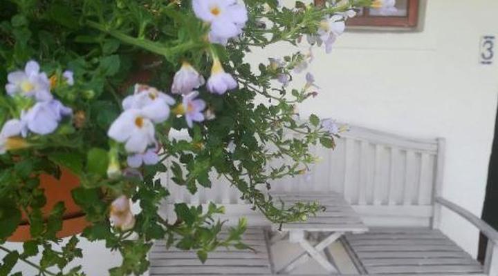 Kaijaiki Country Inn