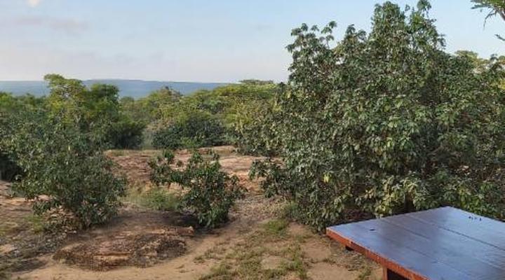 Izintaba Private Game Reserve