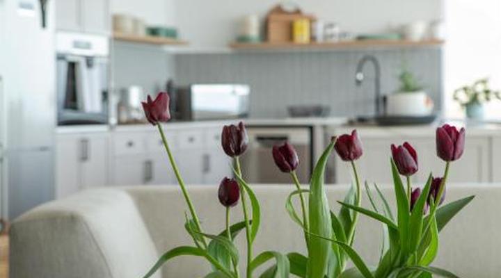 Villa Marine Guest House