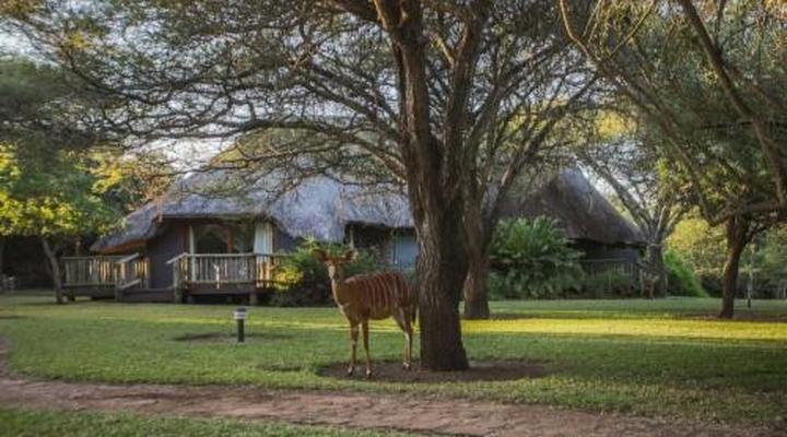 Rhino River Lodge