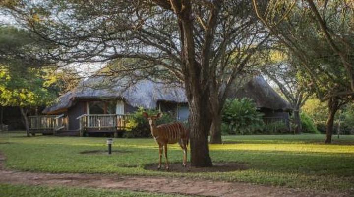 Rhino River Lodge