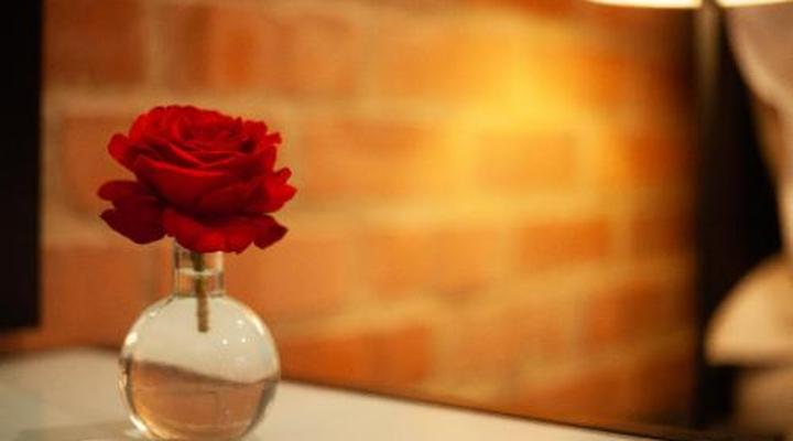 Twin Rivers Bed and Breakfast