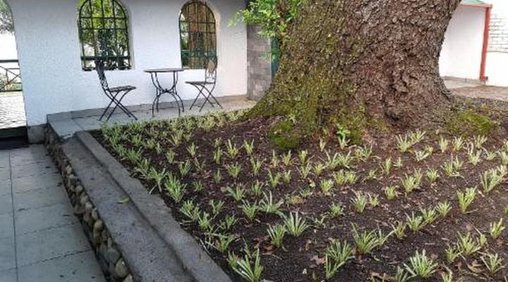 Sherwood's Country House