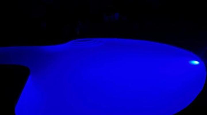 Haldon Estate Country Lodge