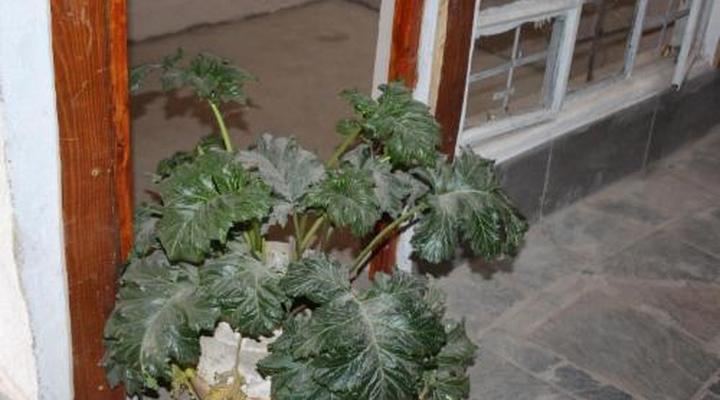 Emahlathini Farm Lodge