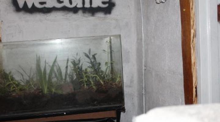 Emahlathini Farm Lodge