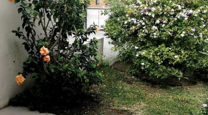 The Coelacanth Guesthouse