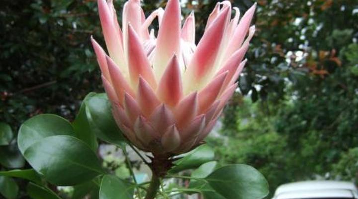 High Hopes Retreats and Guest House