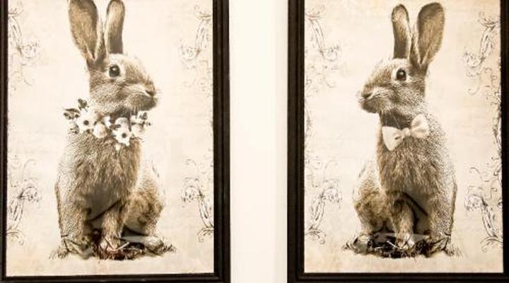 Cape Karoo Guesthouse