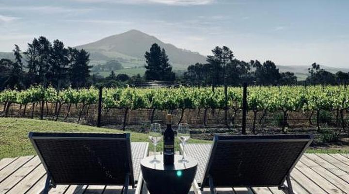 Marianne Wine Estate