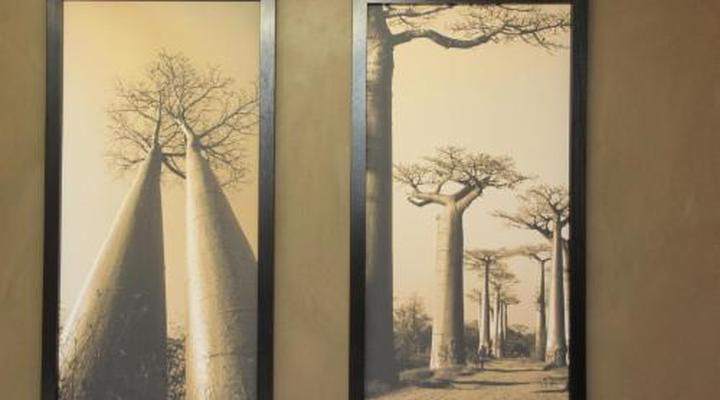 Glenda's Guest Suites