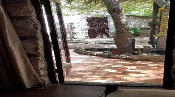 Jacobs Bay Backpackers - The Plot