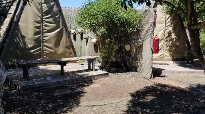 Jacobs Bay Backpackers - The Plot