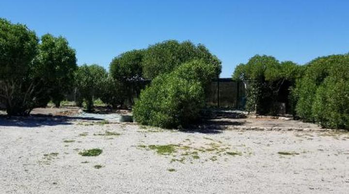 Jacobs Bay Backpackers - The Plot