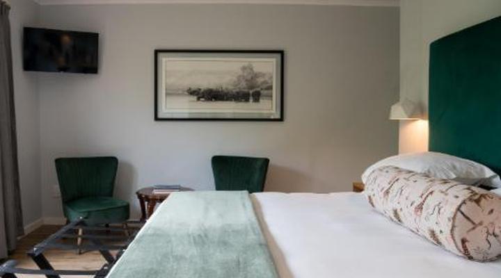 Penguino Guest House