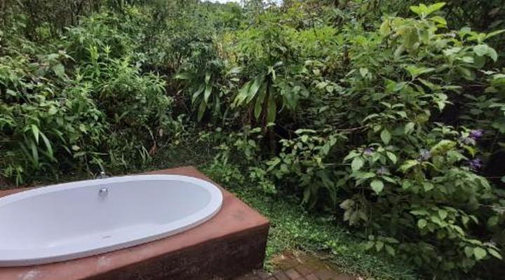 Magoebaskloof Birders' Cottages