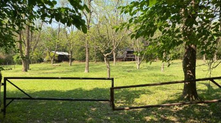 Buhleni Farm Chalets