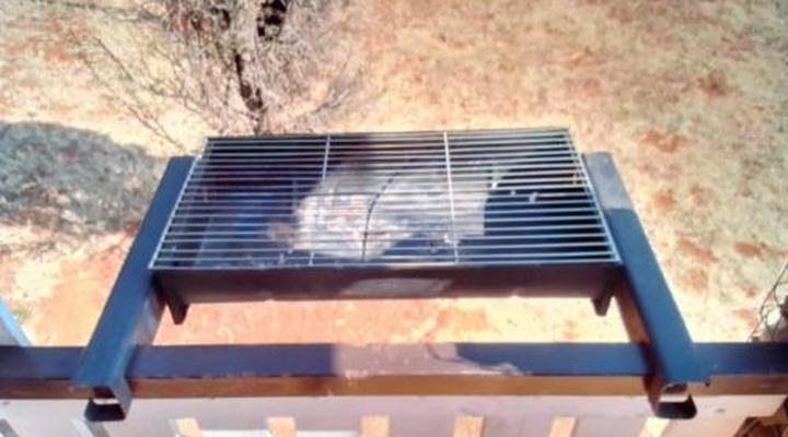 Votadini Country Cottages